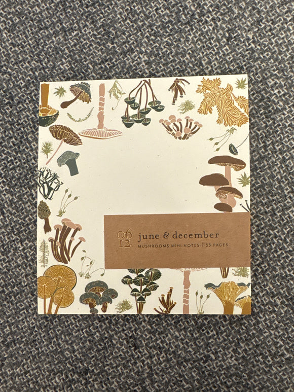 June and December Mushroom Mini Notes