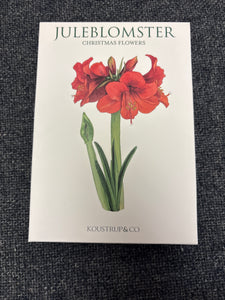 Swedish Christmas Flower Cards