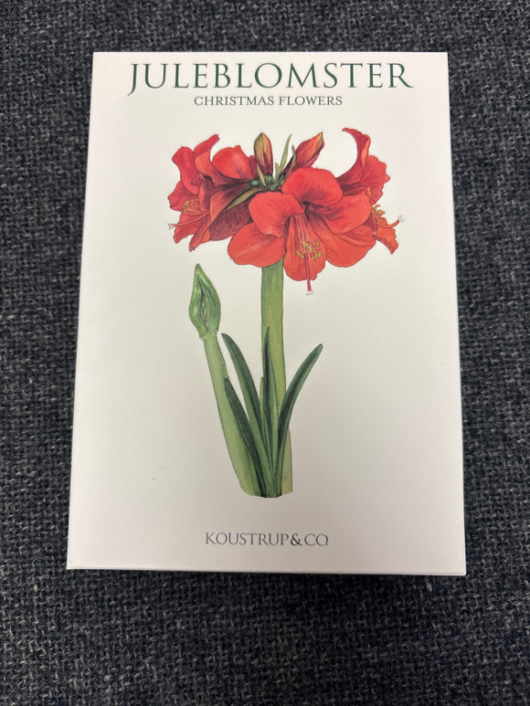 Swedish Christmas Flower Cards