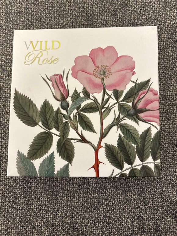 Wild Rose Danish Greeting Card Set