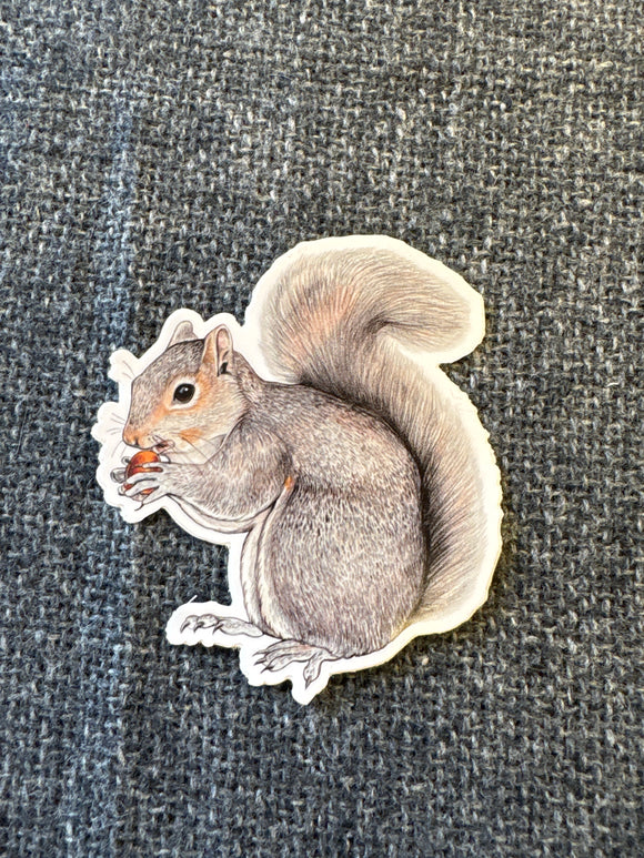 Squirrel with Acorn Sticker