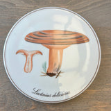 Danish Mushroom Wall Plates