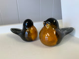 Pair of Glass Robins