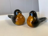 Pair of Glass Robins